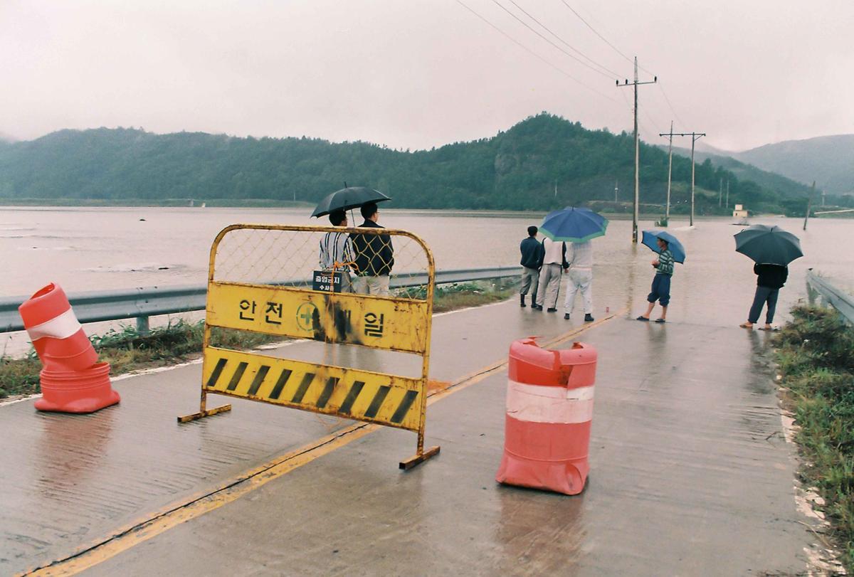 홍수피해
