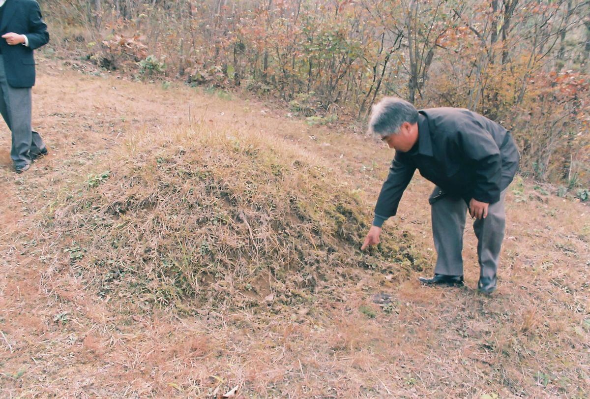 벌초
