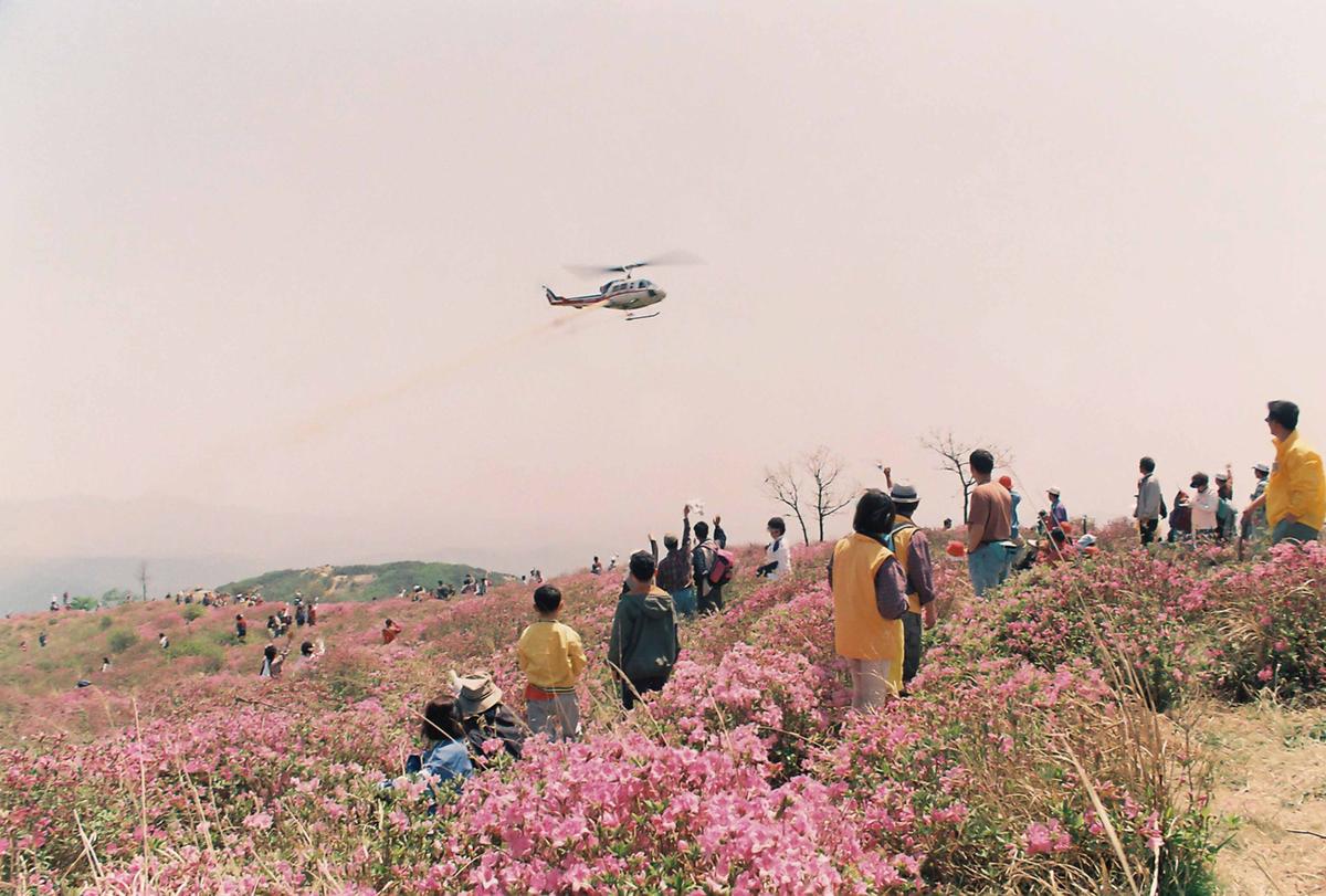 인물