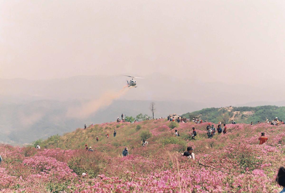 인물