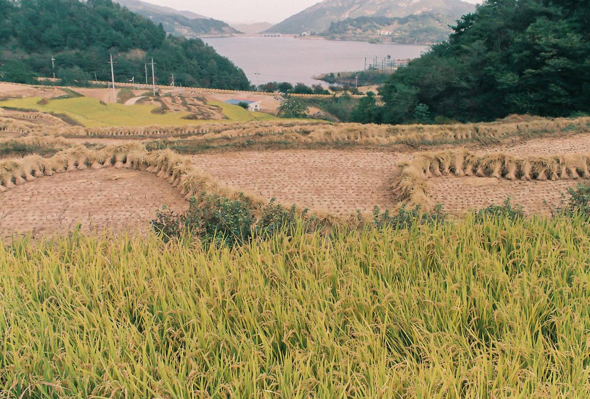 풍경
