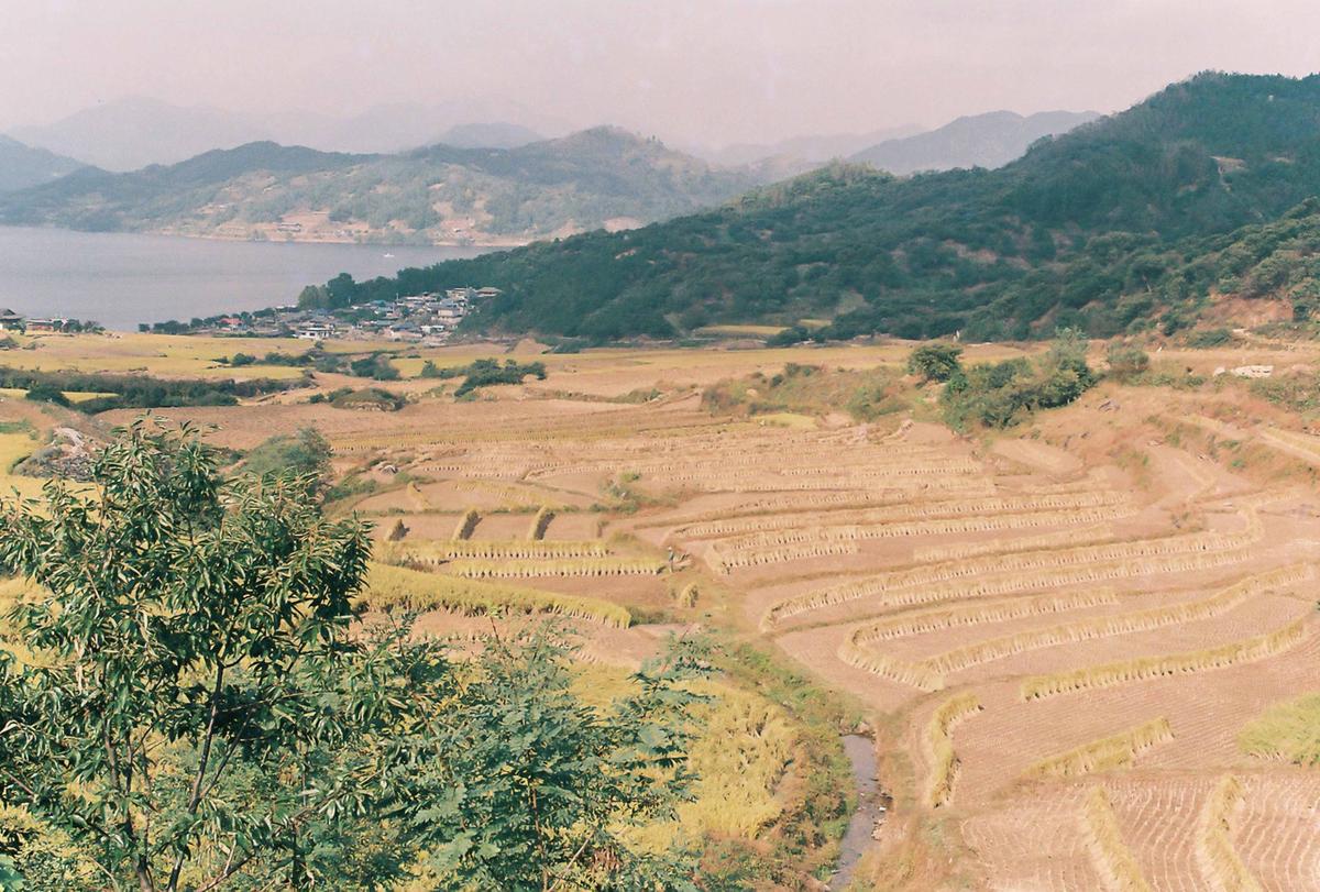 풍경