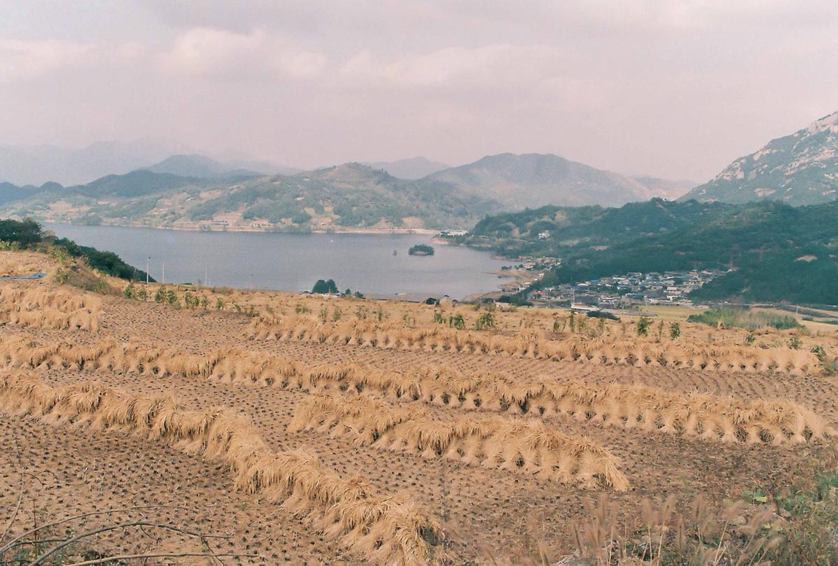 풍경