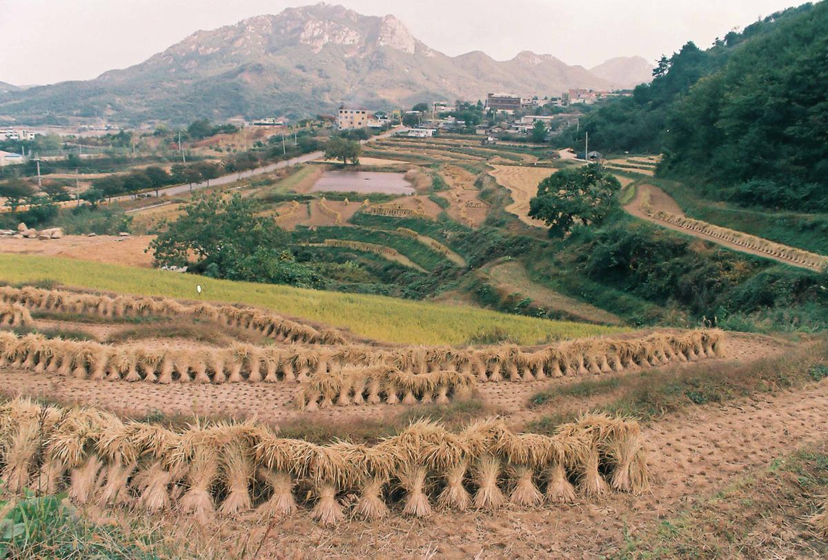 풍경