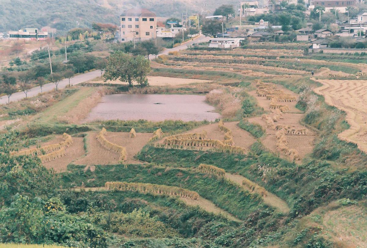풍경
