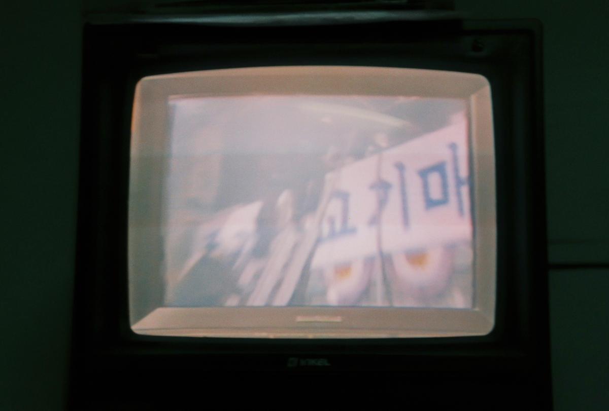 정례조회