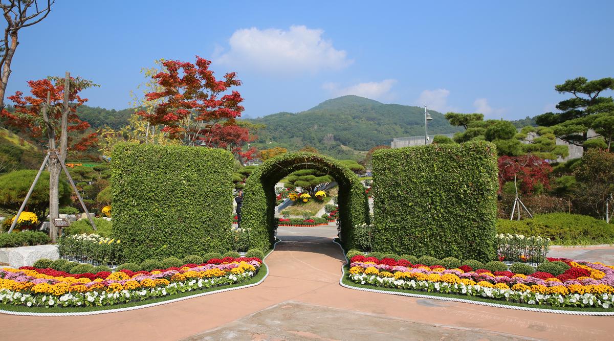 대장경테마파크 국화