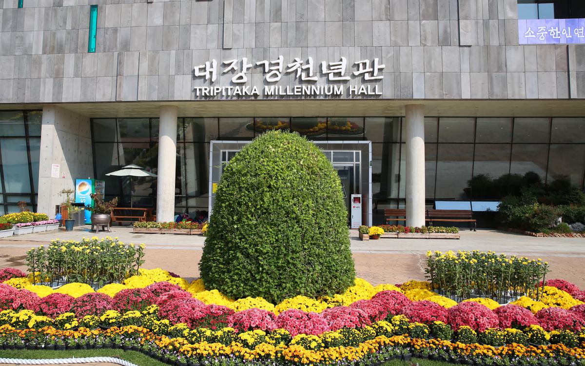 대장경테마파크 국화