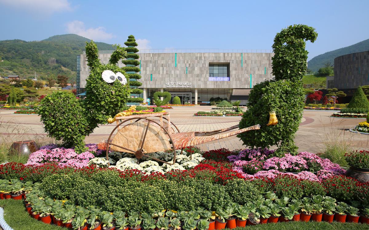 대장경테마파크 국화