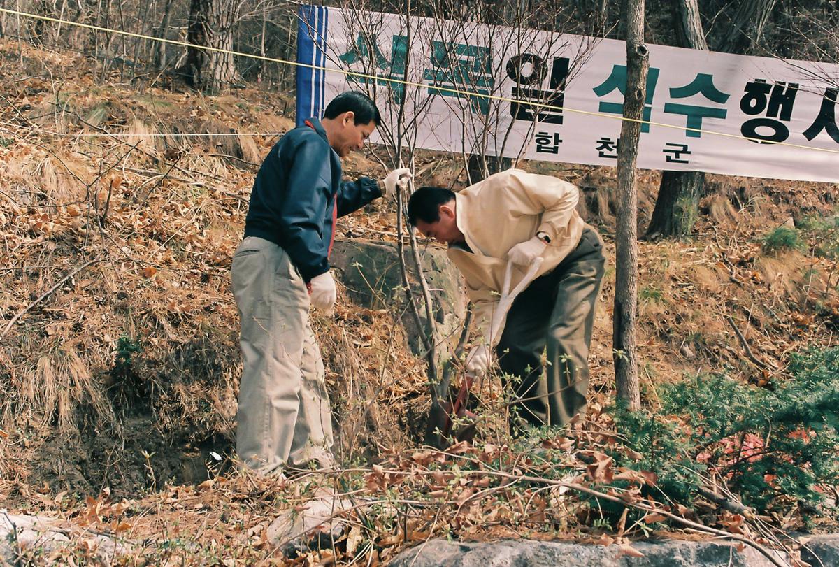 식목일 식수행사