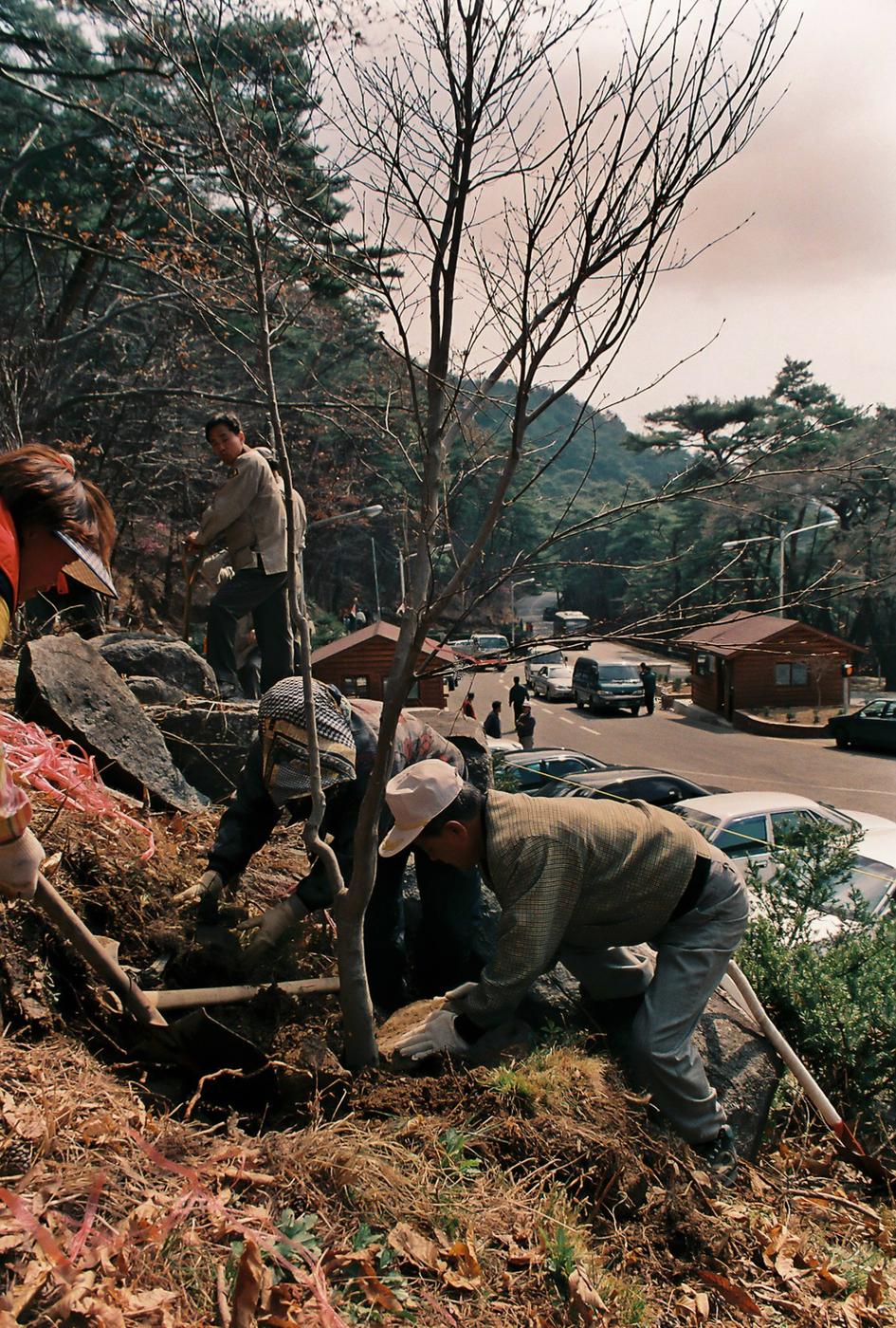 식목일 식수행사