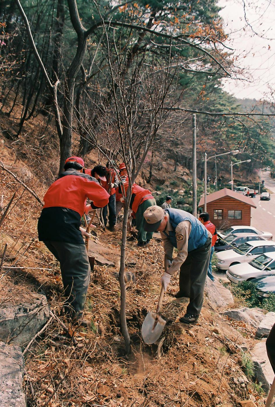 식목일 식수행사