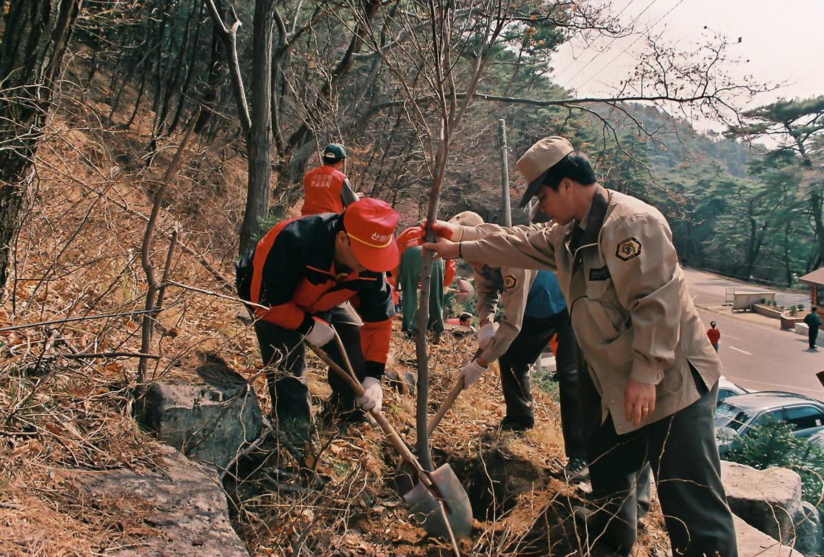 식목일 식수행사