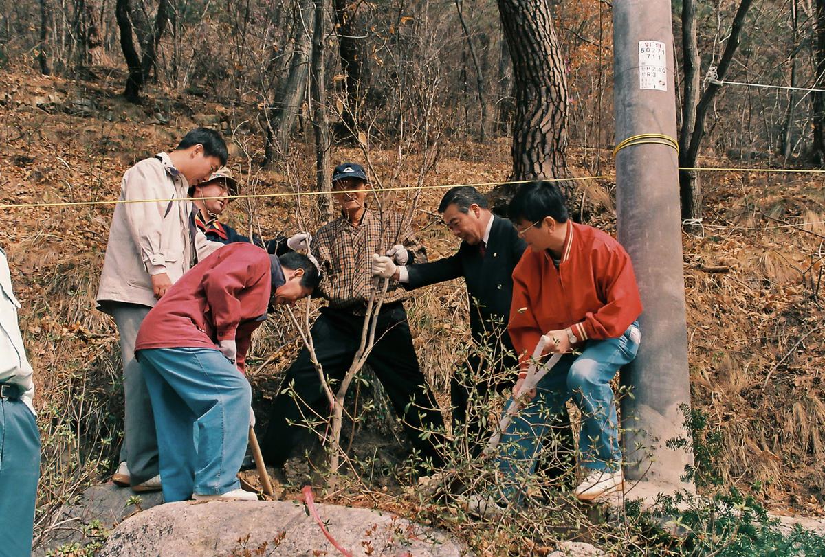 식목일 식수행사