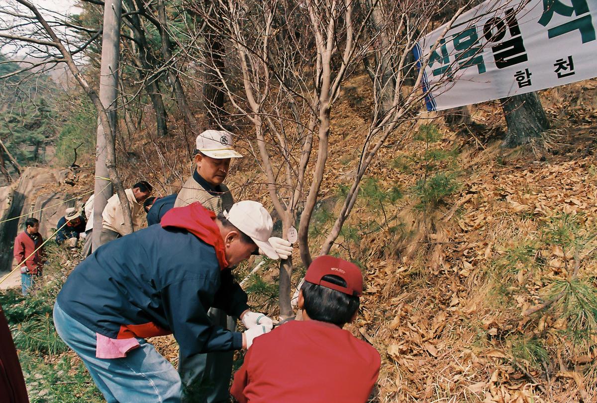 식목일 식수행사