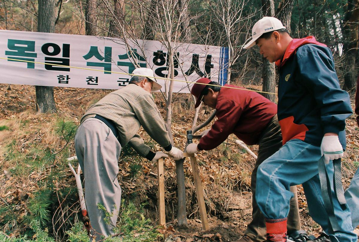 식목일 식수행사