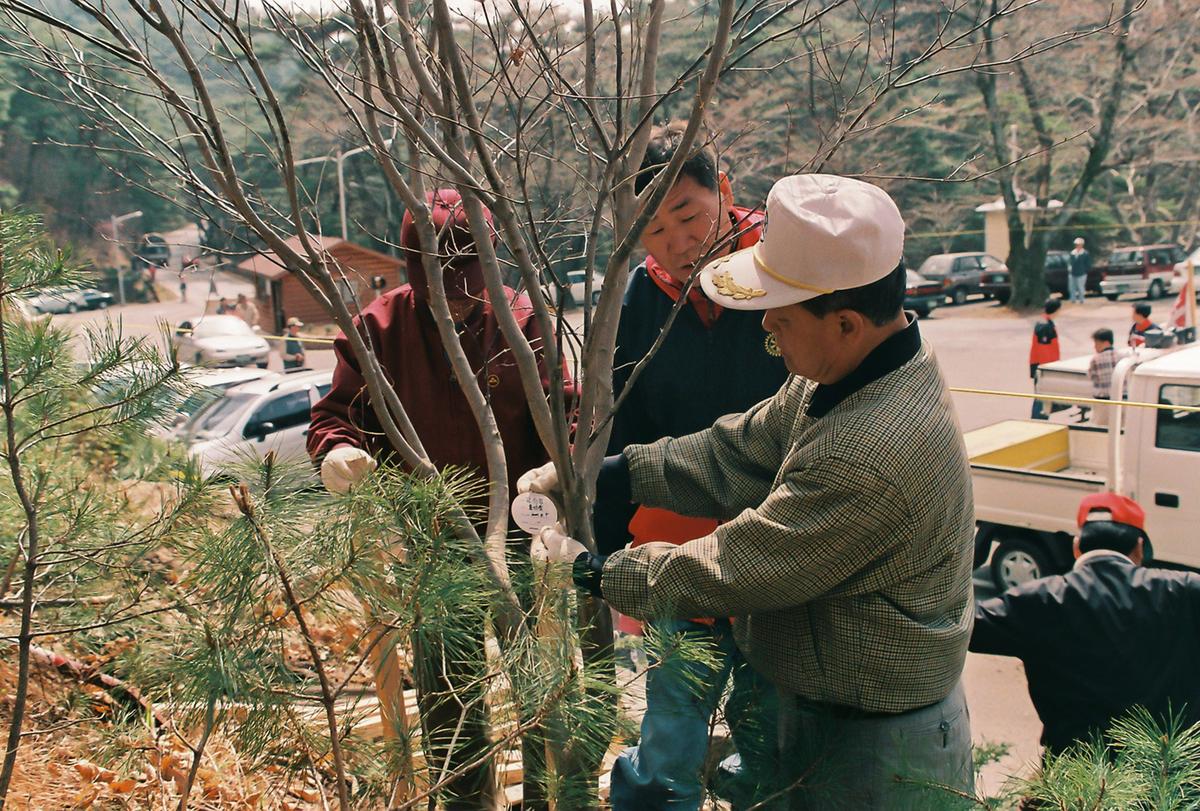 식목일 식수행사