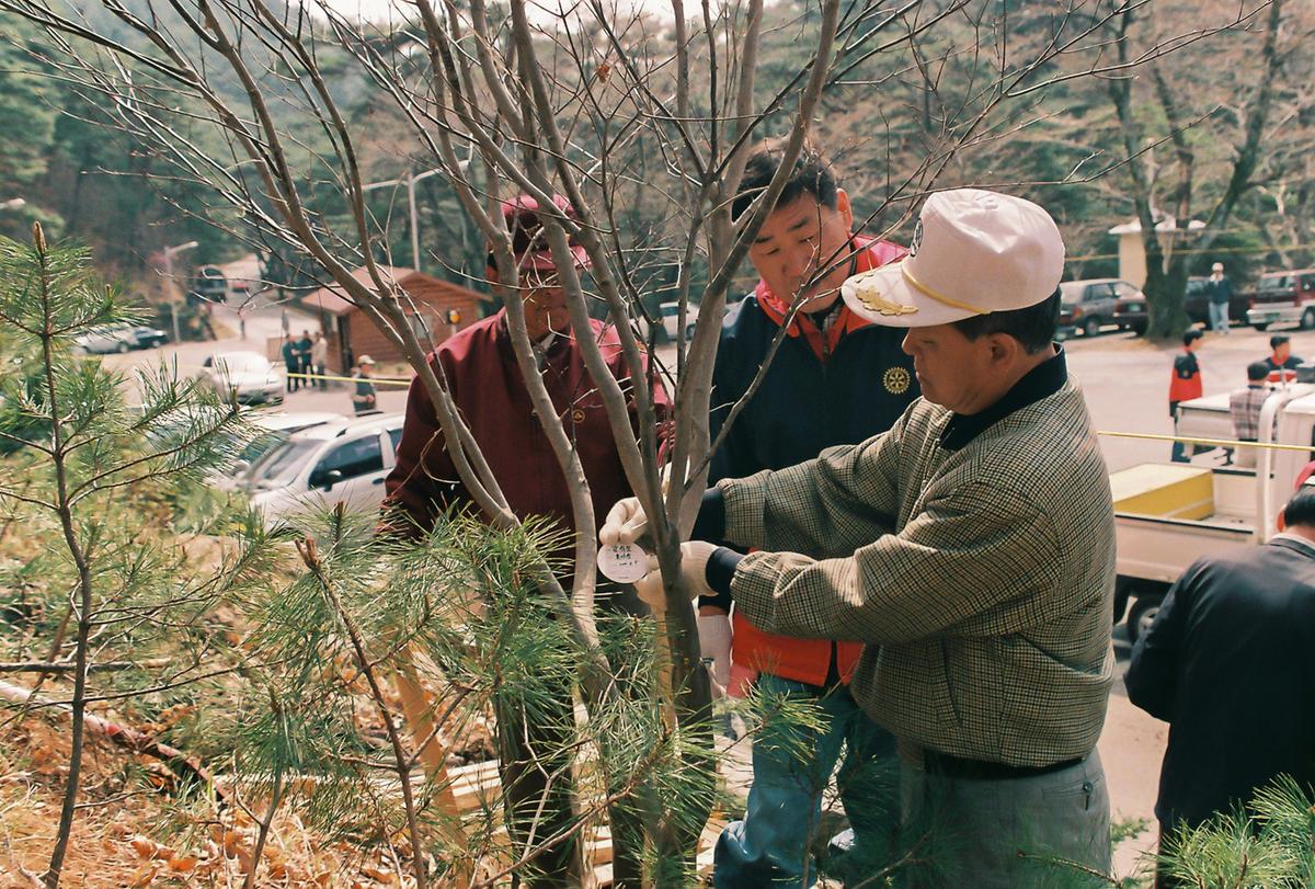 식목일 식수행사