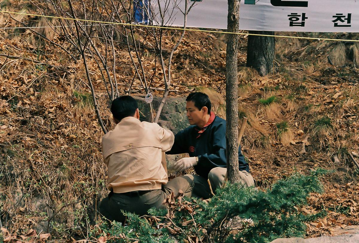 식목일 식수행사