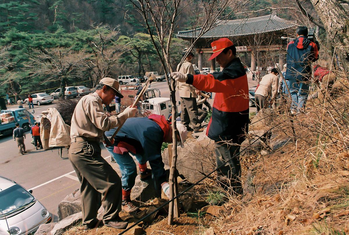 식목일 식수행사