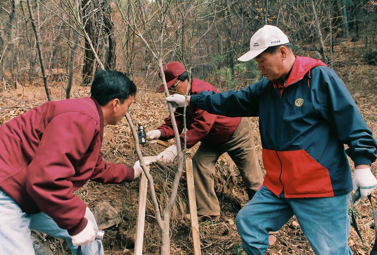 식목일 식수행사
