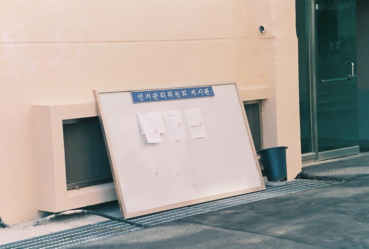 식목일 식수행사