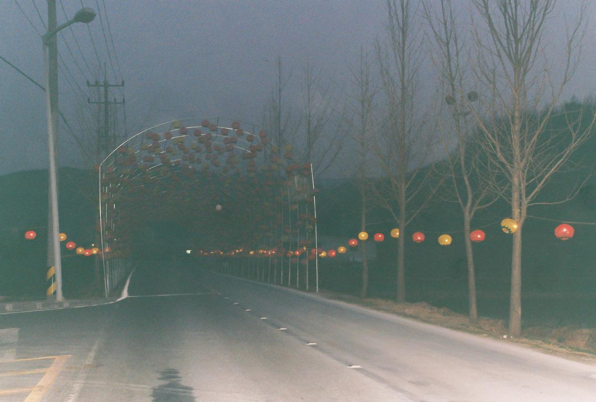 벚꽃