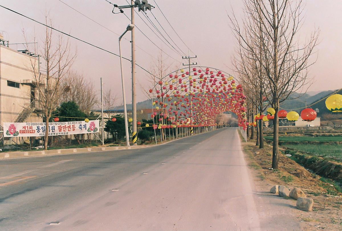 벚꽃