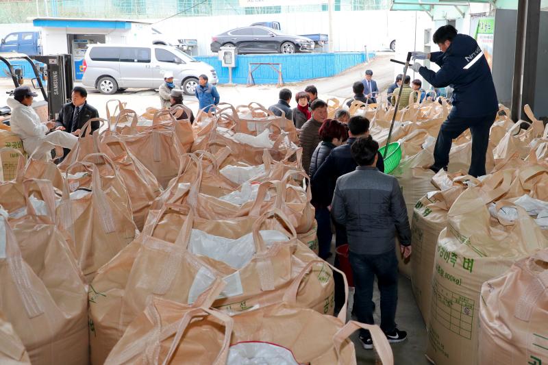 공공비축미 청덕면 수매현장