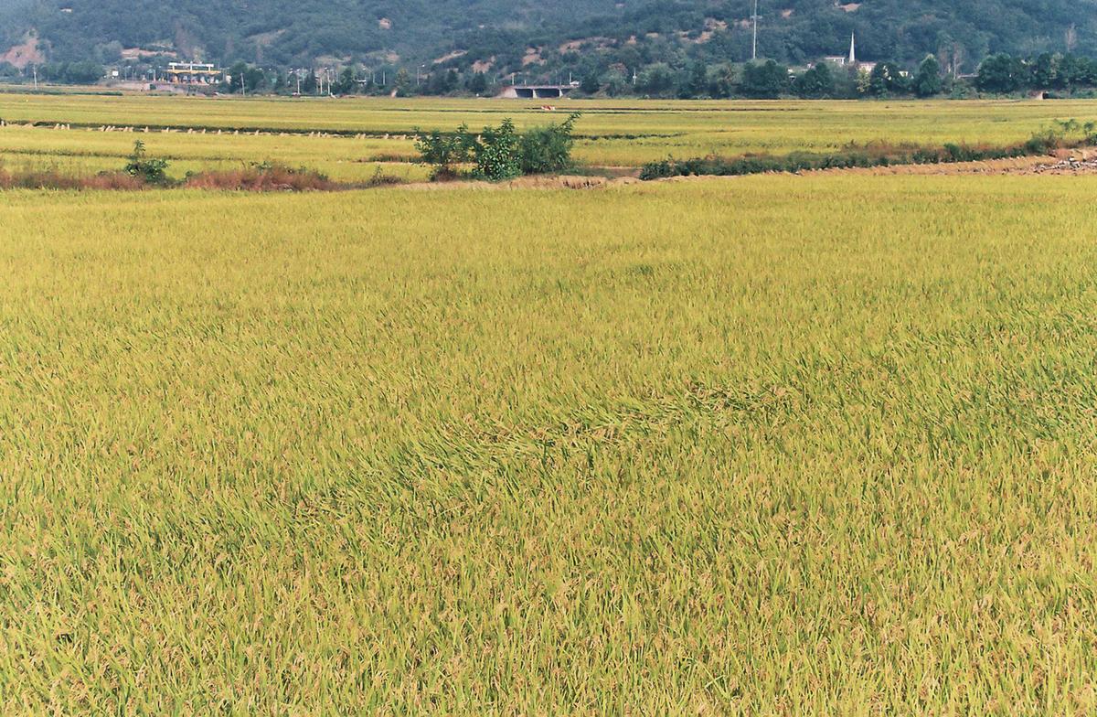 가을풍경