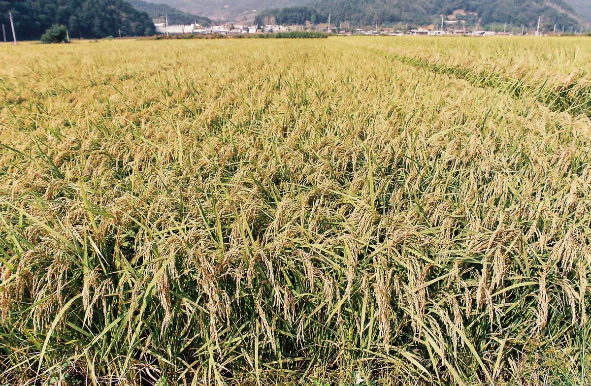 가을풍경