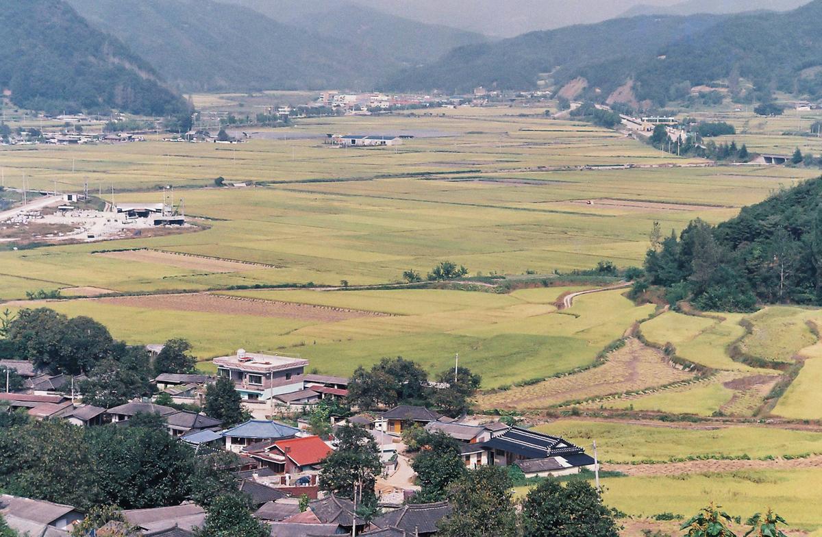 가을풍경