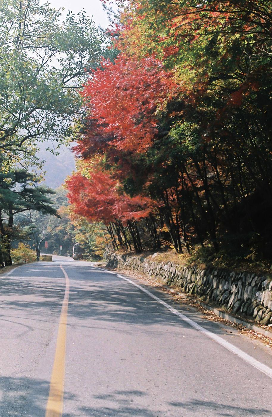 체육대회
