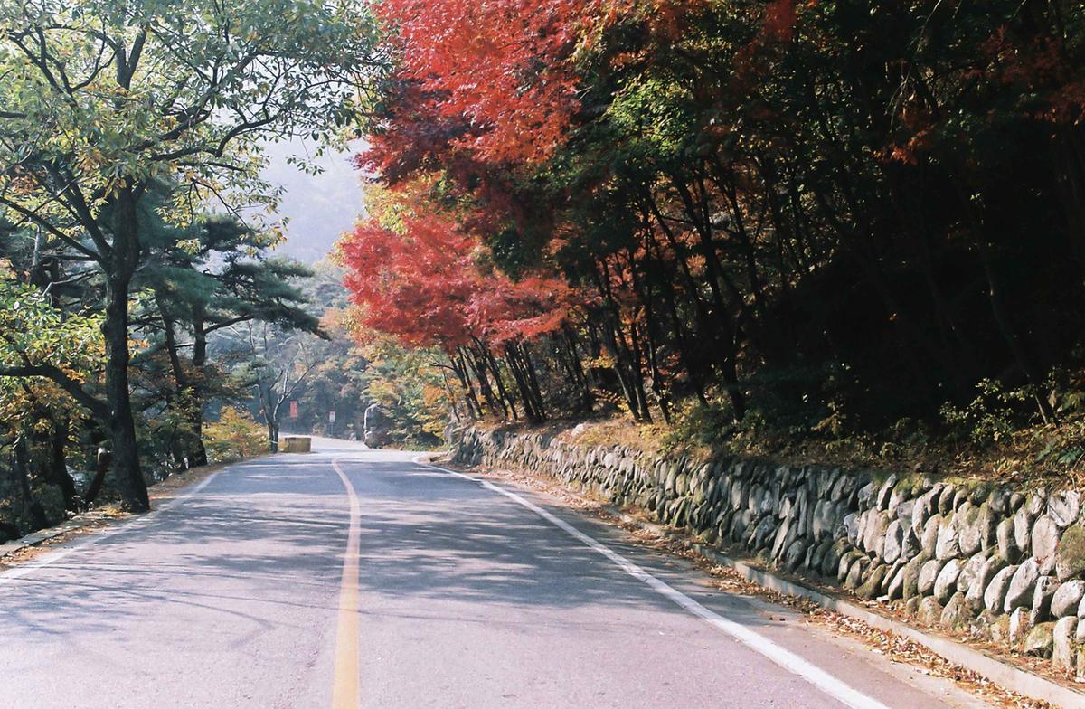 체육대회