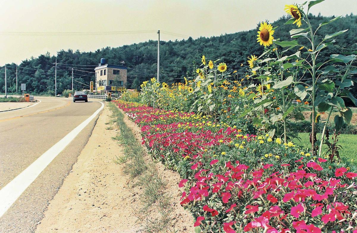 도로