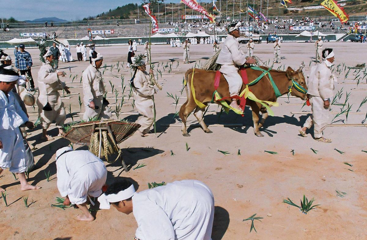 제29회 경상남도 민속예술 경연대회