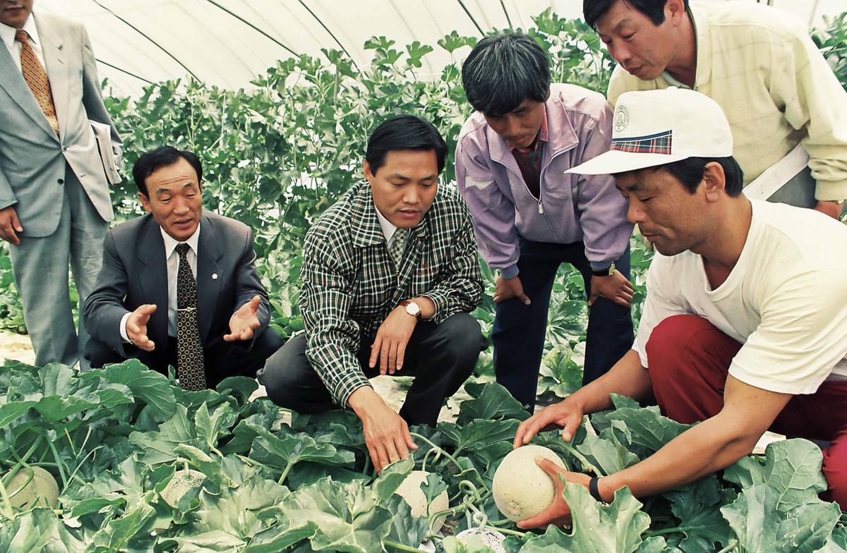 멜론