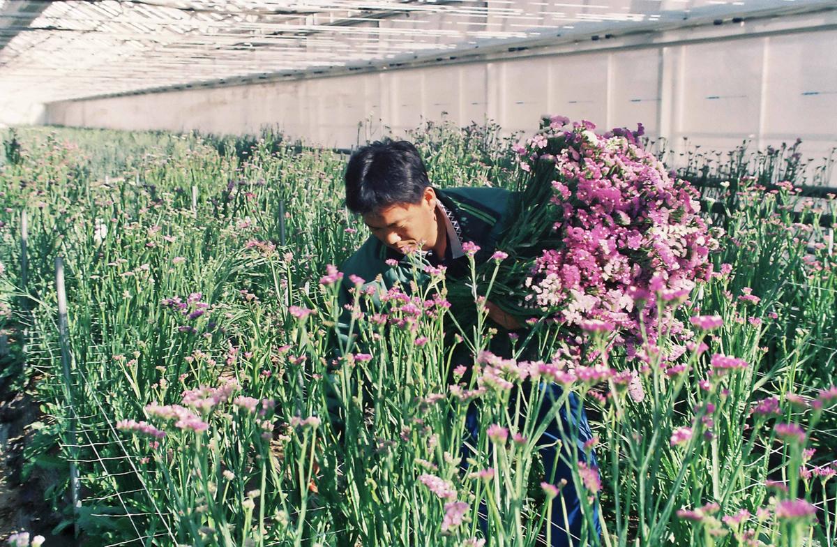 원예