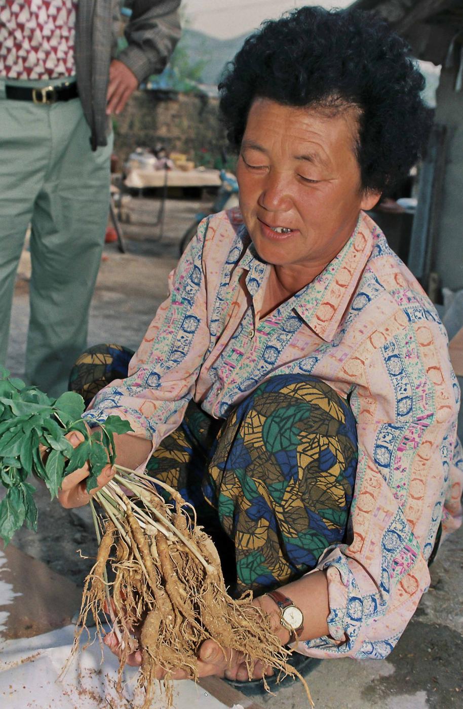 인삼