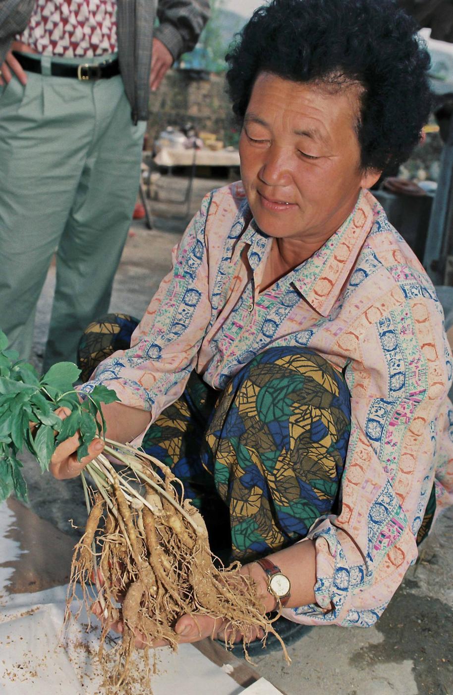 인삼