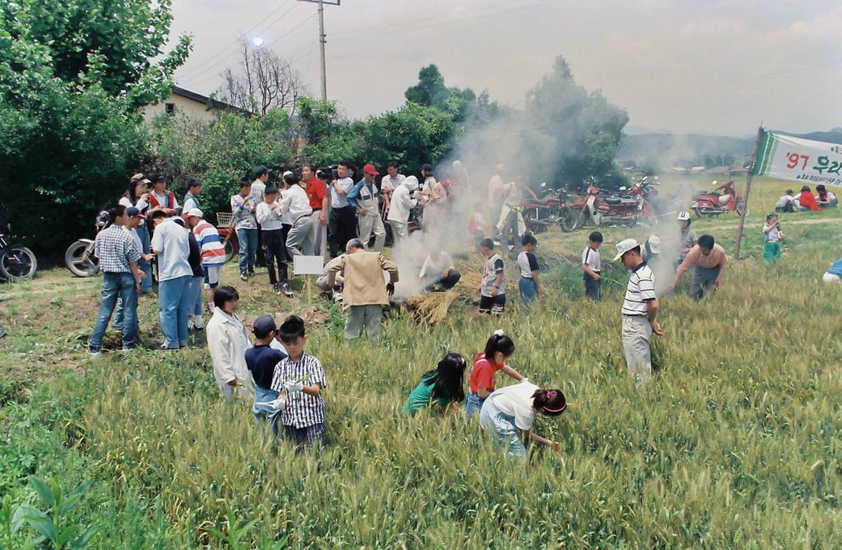 97 우리밀 밀사리 문화 한마당