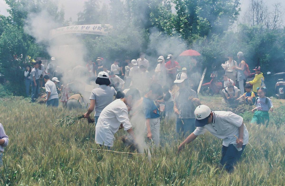 97 우리밀 밀사리 문화 한마당