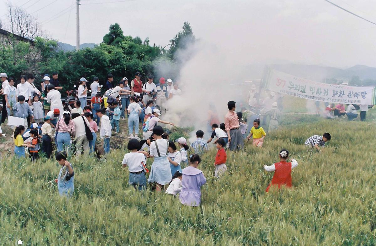 97 우리밀 밀사리 문화 한마당