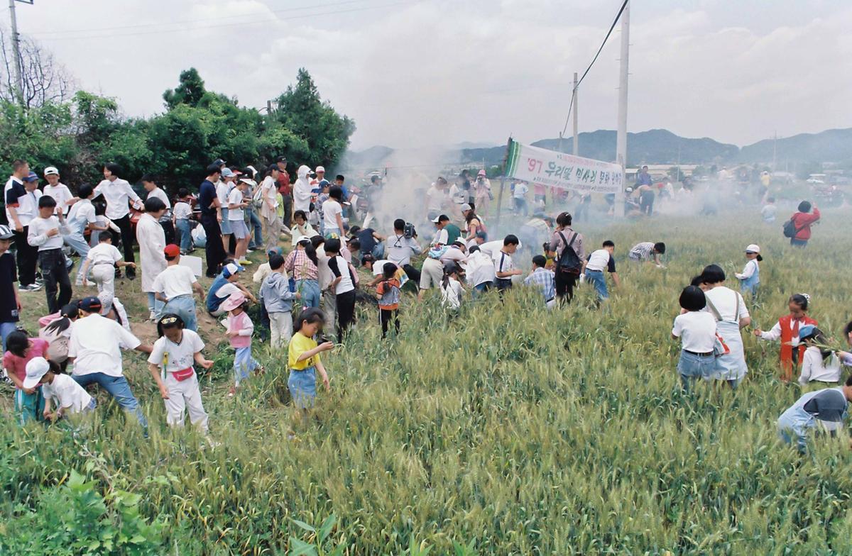 97 우리밀 밀사리 문화 한마당