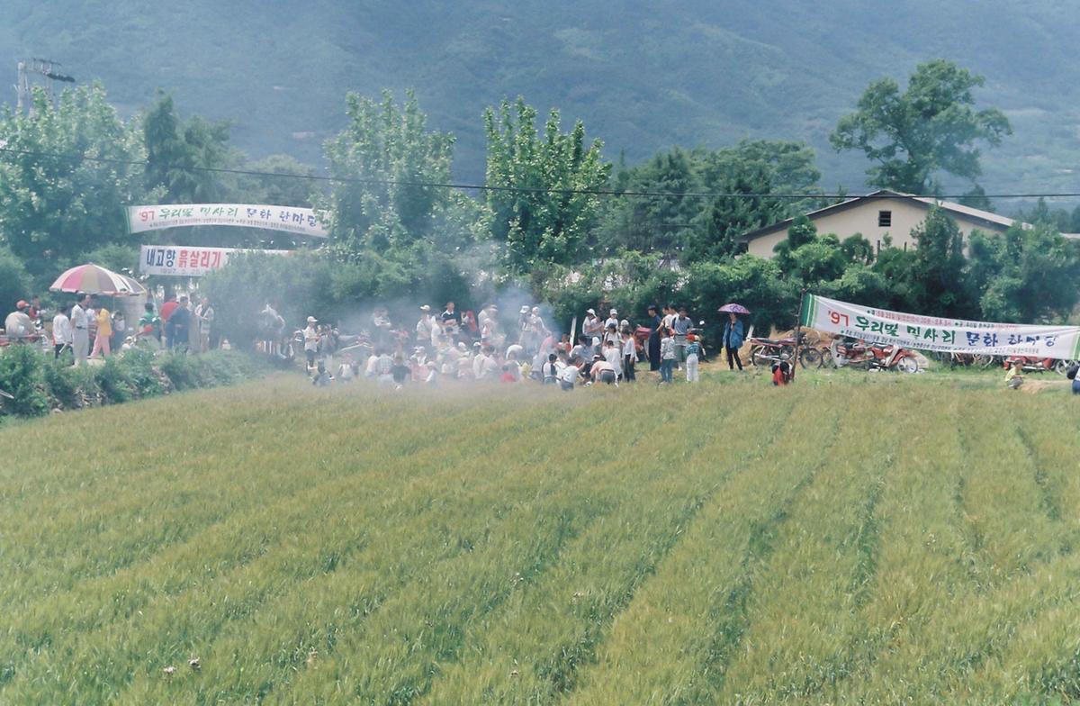 97 우리밀 밀사리 문화 한마당