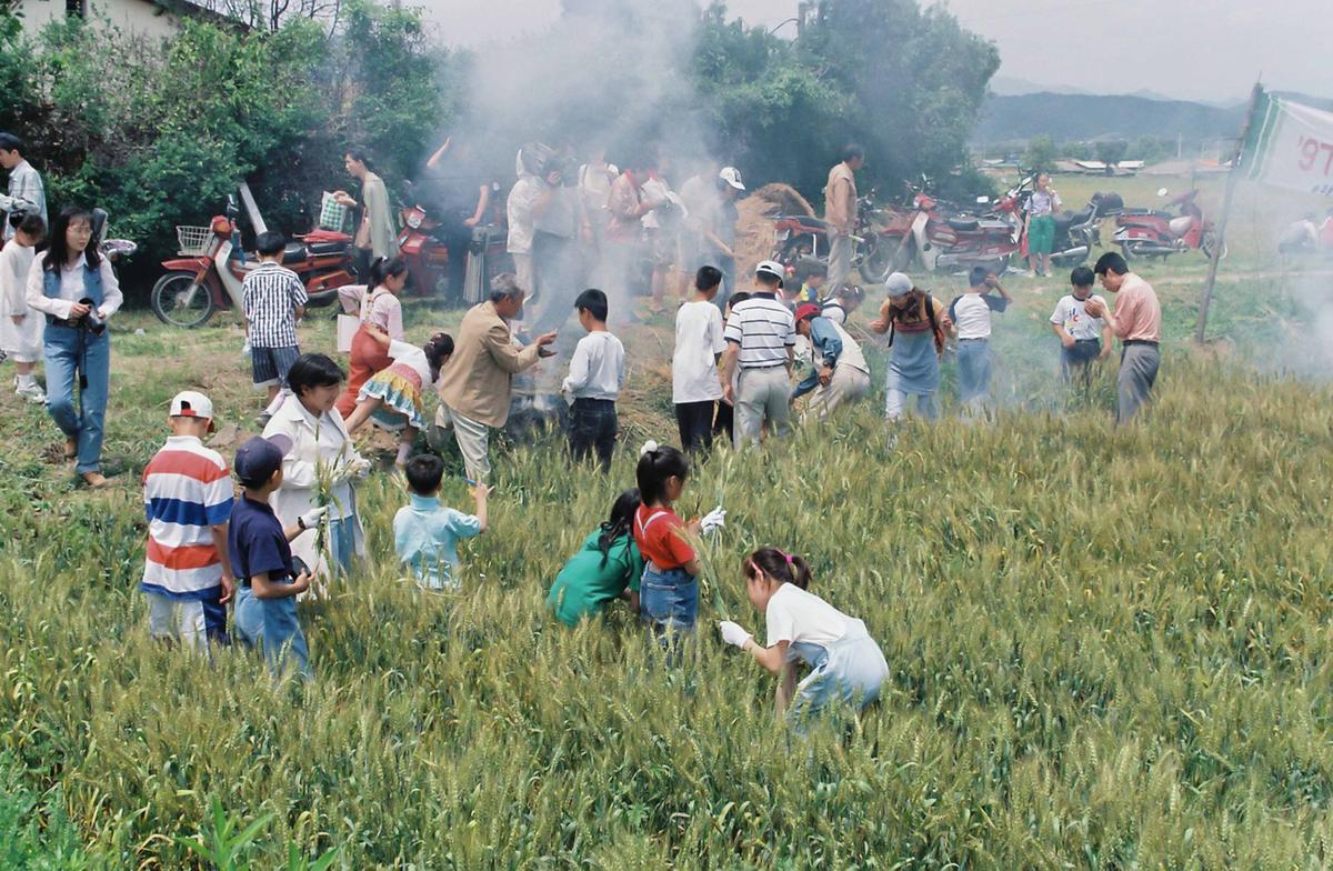 97 우리밀 밀사리 문화 한마당