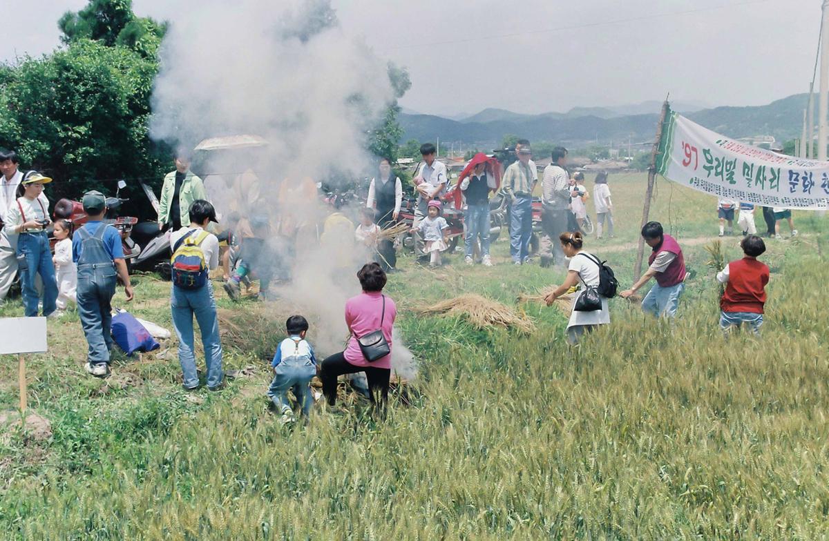 97 우리밀 밀사리 문화 한마당