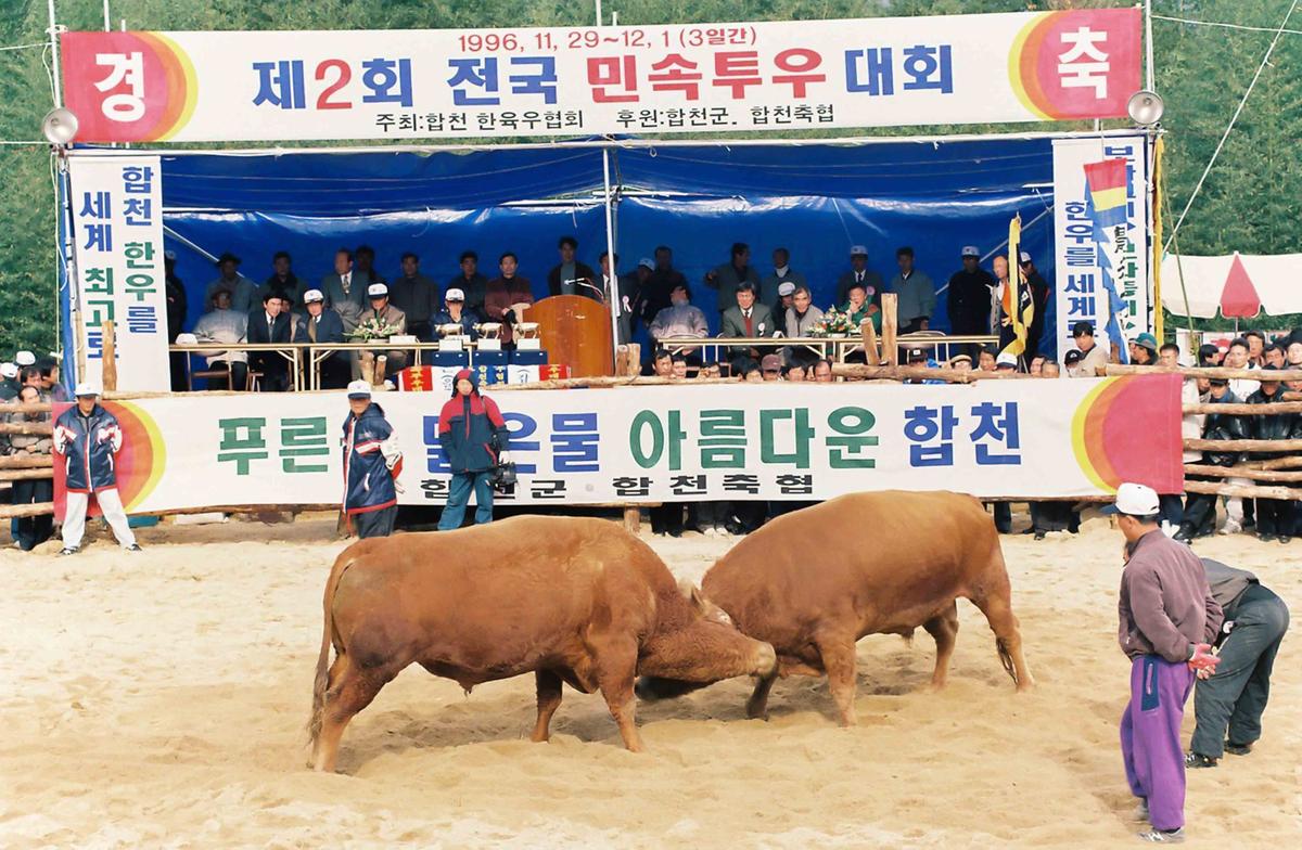 제2회 전국 민속투우 대회