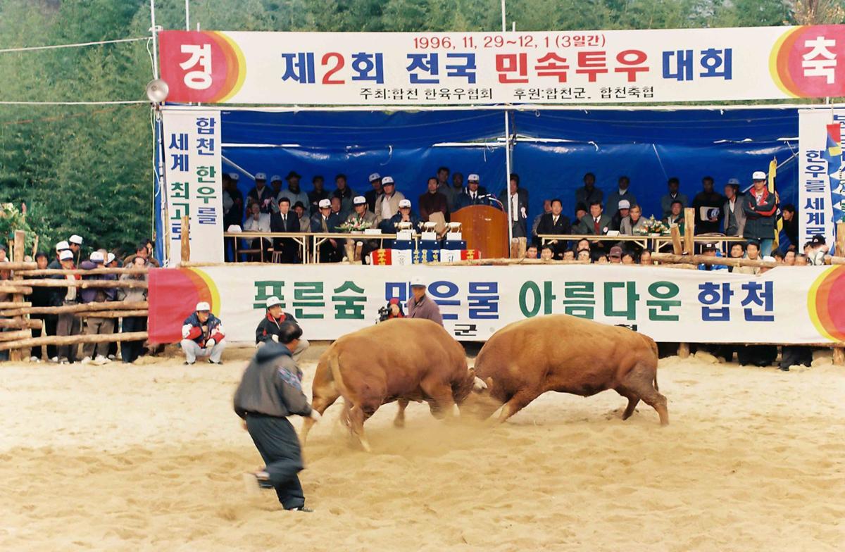 제2회 전국 민속투우 대회