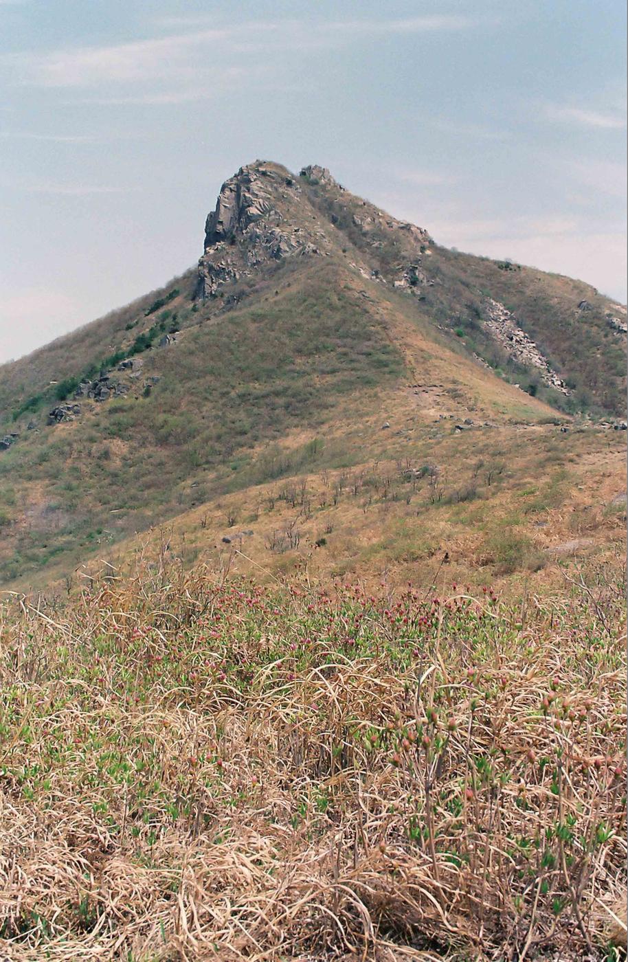 풍경